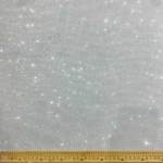 Galaxy Scuba Silver