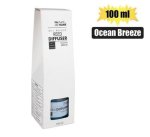 100ML Oil-based Diffuser Set With Reed Sticks