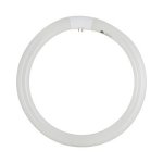 G10Q Circline T9 Halophosphor Fluorescent 32W