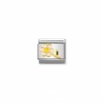 Classic Flower Wh Daisy Link