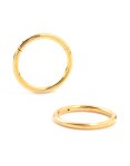 Waterproof Gold Plated Stainless Steel Sleeper EARRINGS 10 Mm