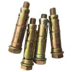 10X70MM Expansion Anchor PK2
