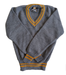 Prof Grey And Gold Striped Jersey - Unisex