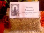Veronica Speedwell Herb