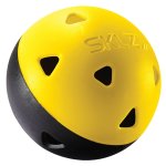 Practice 12PC Golf Balls