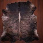 As Grade Nguni Hide 638 Tricolor XL - Extra Large Tricolor Brindle