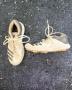 Adidas Adiprene White And Grey Cricket Spike Shoes Size 4 Adult