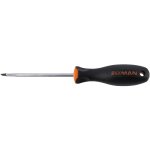S driver Slotted 5.5X1X100MM Crv With Ergonomic Handle