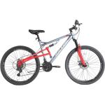 Mtb Raptor Ds