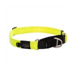 Rogz Utility Control Collar Web - Small Dayglo