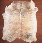 As Grade Nguni Hide 209 Tricolour XXL - Extra Extra Large Tricolour Brindle