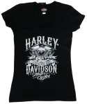 H-d Goldrand Dealer T Shirt -HDR40291538