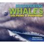 Discovering Whales Dolphins And Porpoises   Hardcover