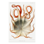 Ocean 21 Art Print