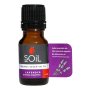 Aromatherapy Oil 10ML Lavender