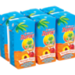 Mango & Peach Flavoured Dairy Fruit Mix 6 X 200ML