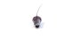 Acconet. Ufl To N-type F - 300MM Pigtail For MINI PCI Cards RG174