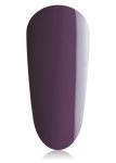 Boysenberry MINI