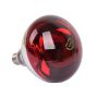 Infrared Light Bulb - 250 Watts