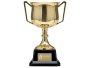 Altitude Aureus Medium Trophy