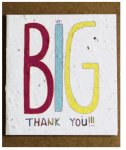 Big Thank You MINI Card