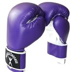 Purple Boxing Gloves 12OZ