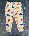 H&m Grey Dinosaur Pants 9 12M