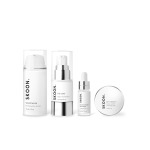 . Basic 4 Combination Skin Starter Kit