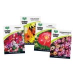 Starke Ayres Winter Flower Per Packet 15G