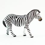 Wildlife Plains Zebra