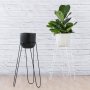Hairpin Plant Stand - Black - Black Hairpin Stand Excl. Pot & Plant