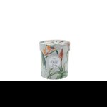 Jenam A South African Celebration Scented Candle 150G