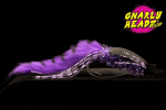 Gnarly Headz Bass Gurgler 2 0 Black Purple