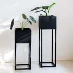 Jasmine Planter