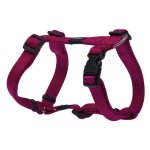 Rogz Alpinist Medium 16mm Matterhorn Dog H-harness Pink