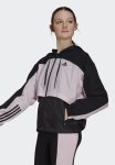 Adidas Performance Cb Perfomance Hoodie - Black & Clear Pink
