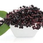 Elderberry Concentrate - 10ML