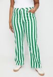 Plus Stretch Straight Leg Jeans - Greensstripe