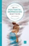 Why Perinatal Depression Matters Paperback