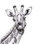 Giraffe Port. Art Print - A3