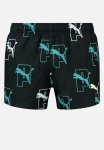 Puma Swim Men Cat Logo Shorts - Black