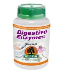 Willow Digestive Enzymes 100 Capsules