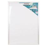 Parrot Poster Frame A0 1250 900MM Single Mitred
