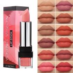 Classic Red brown Lipsticks Nude Matte Finish 12 Colors Valentine's Day Gifts