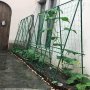 Heavy-duty Garden Trellis Netting For Climbing Plants - Waterproof Easy Install Space-saving Design For Vines & Tomatoes