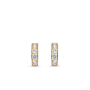 Yellow Gold Cubic Zirconia Hoop Earrings