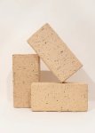 Paver Clay Champagne P 1000 500 Pavers Per Palet