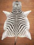A Grade Zebra Hide 061 L