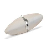 Cuttle Fish Bone