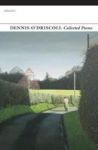 Collected Poems Paperback